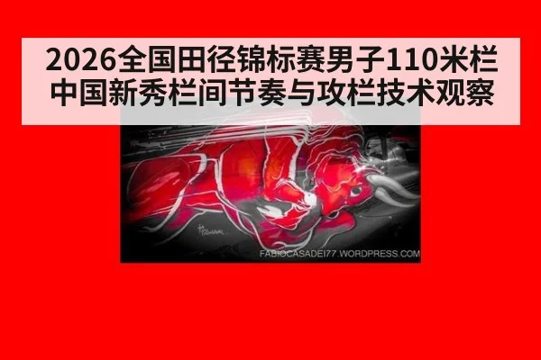 2026全国田径锦标赛男子110米栏中国新秀栏间节奏与攻栏技术观察