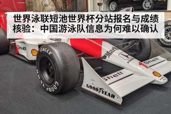 世界泳联短池世界杯分站报名与成绩核验：中国游泳队信息为何难以确认